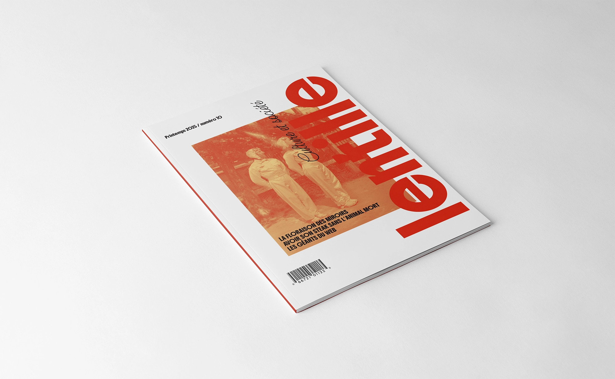 Projet 6