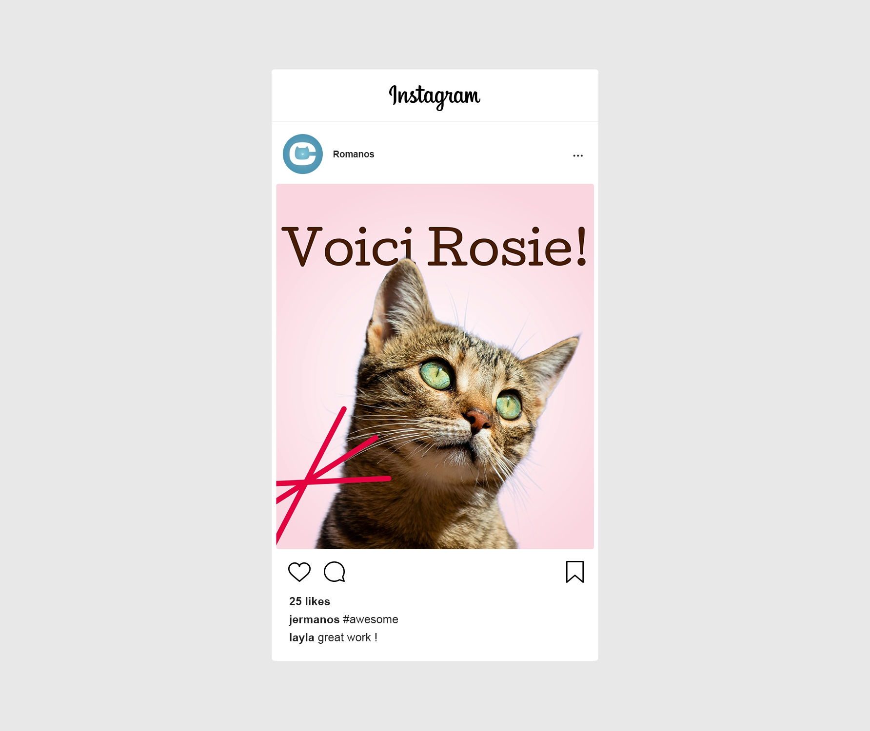 Réseaux Sociaux 1 - Café Chat L'Heureux