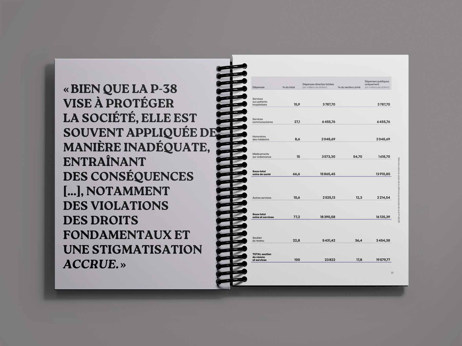 Tableau santé mentale et budget gouvernementale - projet scolaire